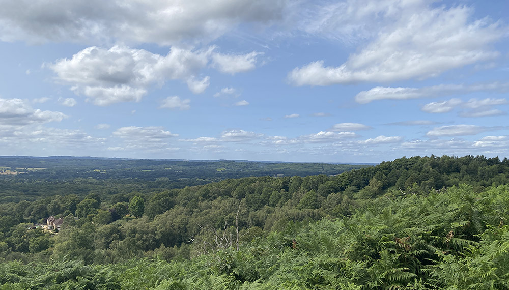 From Woolbeding Common